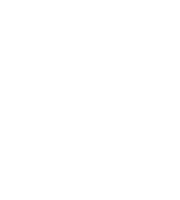 Icon of a NEMA L5-30R type outlet.